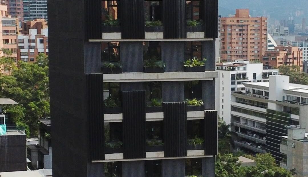 video image
