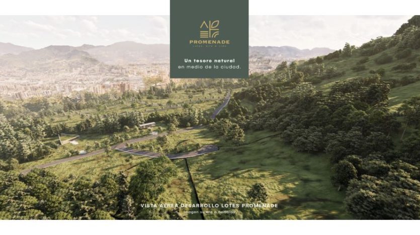 parcelación promenade, lotes en venta en alto de las palmas